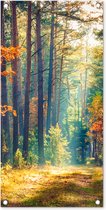 Tuinposter Bos - Zon - Natuur - Herfst - 40x80 cm - Wanddecoratie Buiten - Tuinposter - Tuindoek - Schuttingposter - Tuinschilderij