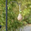 Peer-vormig vogelvoer, bedekt met zaden, hangt aan een haak van een zwart vogelvoederstation.