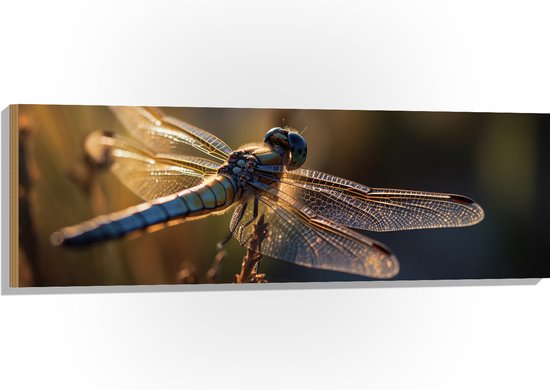 Foto: Hout blauwe libel staat op bloem met gedetaileerde doorzichtige vleugels 120x40 cm 9 mm dik foto op hout met ophangsysteem 