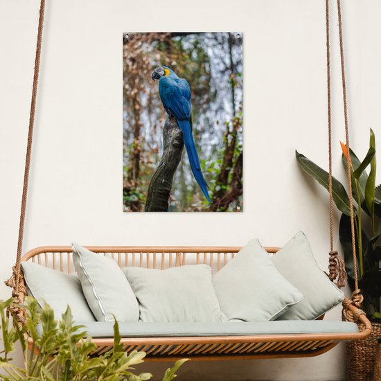 Tuinposter 60x90 cm - Tuindecoratie Vogel - Papegaai - Blauw - Poster voor in de tuin - Buiten decoratie - Schutting tuinschilderij - Tuindoek muurdecoratie - Wanddecoratie balkondoek