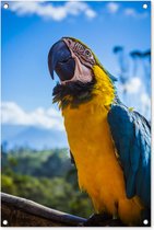 Tuinposters buiten Vogel - Papegaai - Geel - 60x90 cm - Tuindoek - Buitenposter
