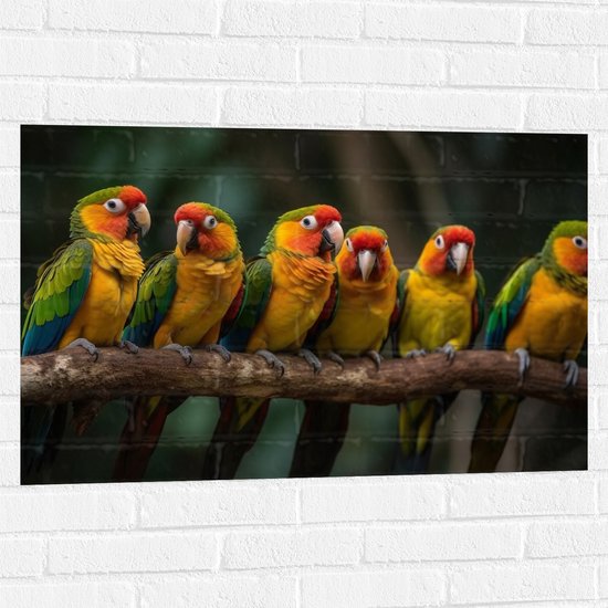 Muursticker - Ara papegaaien zitten op een rijtje langs elkaar op een tak - 90x60 cm Foto op Muursticker