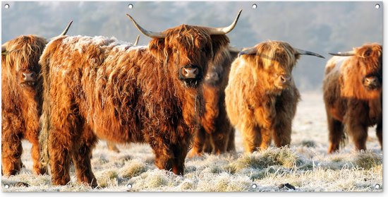 Décoration murale extérieur Highlanders écossais - Neige - Forêt - 160x80 cm