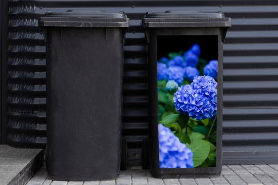 Autocollant pour contenant Gros plan sur des fleurs d'hortensia bleues - 38 x 80 cm - Autocollant Kliko