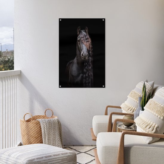 Portrait d'un cheval frison sur fond noir affiche de jardin toile en vrac 60x90 cm - Toile de jardin / Toile d'extérieur / Peintures d'extérieur (décoration de jardin)