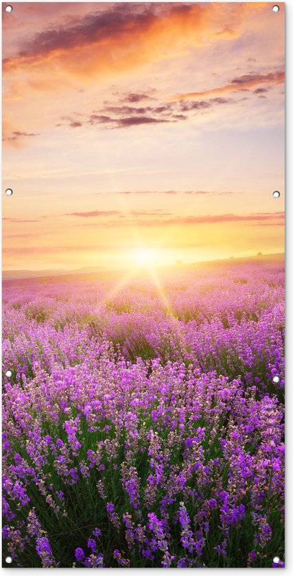 Tuinposter - Bloemen - Lavendel - Zon - Wanddecoratie - 80x160 cm - Tuindoek - Muurdecoratie