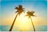 Vue depuis une plage tropicale sur les palmiers et la mer Poster Jardin 120x80 cm - Toile de jardin / Toile d'extérieur / Peintures d'extérieur (décoration de jardin) / Mer et plage