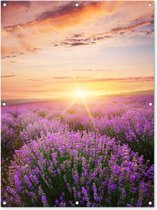 Tuinposter - Bloemen - Lavendel - Zon - Wanddecoratie - 90x120 cm - Tuindoek - Muurdecoratie