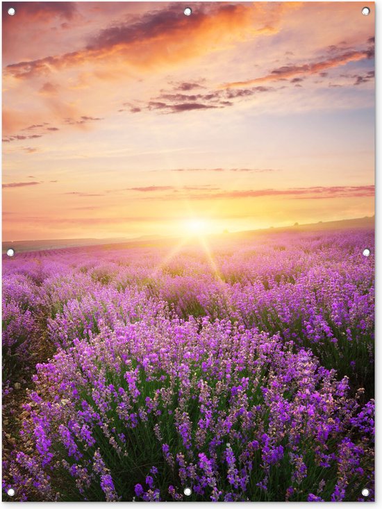 Tuinposter - Bloemen - Tuin - Tuindoek