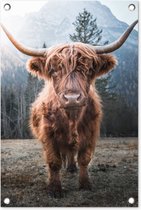 Tuindecoratie Schotse hooglander - Koe - Dieren - Berg - Natuur - 40x60 cm - Tuinposter - Tuindoek - Buitenposter