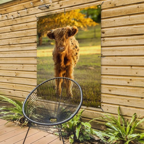 Affiche jardin - Toile Posters de jardin extérieur - Highlander écossais - Veau - Automne - 90x120 cm - Jardin