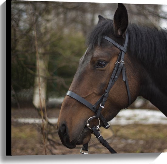 HKM Hobby Horse mini grijs - Puur Paardenkracht Ruitersport