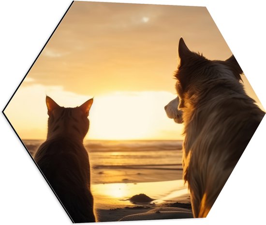 Dibond Hexagon - Hond en Kat Kijkend naar de Ondergaande Zon - 60x52.2 cm Foto op Hexagon (Met Ophangsysteem)