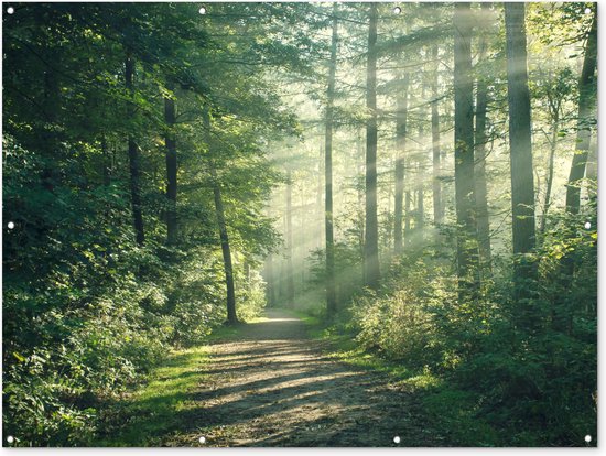 Poster de jardin Forêt - Chemin - Soleil - Arbres - Vert - Nature - 170x120 cm - Décoration murale Outdoor - Poster de jardin - Toile de jardin - Poster de clôture - Tableau de jardin