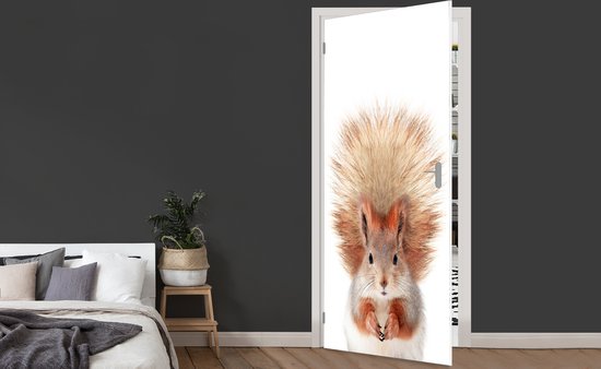 Sticker de porte Écureuil - Animaux - Nature - Oranje - Wit - 85x205 cm - Poster de porte