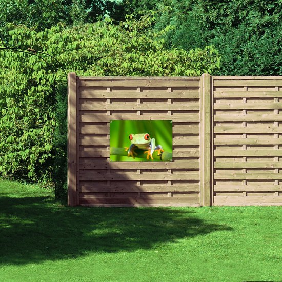 Tuinposter – Groene kikker met rode ogen zit op stengel van een plant - 90x60 cm Foto op Tuinposter (wanddecoratie voor buiten en binnen)