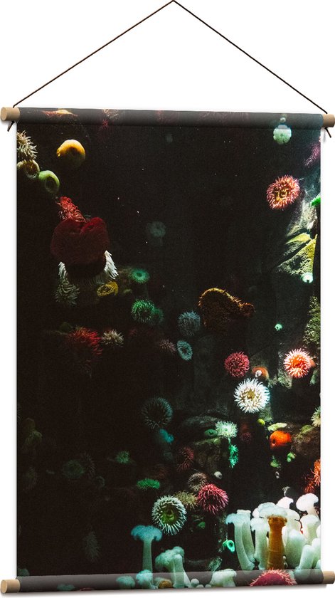 Textielposter - Zee - Onderwaterleven - Koraal - Bloemdieren - 60x90 cm Foto op Textiel