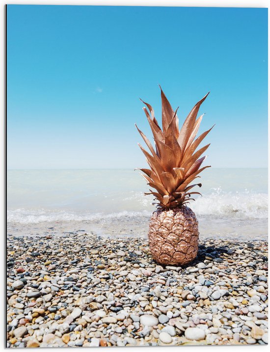 Dibond - Zee - Eten - Annanas - Stenen - Water - 60x80 cm Foto op Aluminium (Met Ophangsysteem)