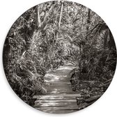 Dibond Muurcirkel - Vlonder door het Bos (Zwart-wit) - 50x50 cm Foto op Aluminium Muurcirkel (met ophangsysteem)