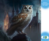 F4B Uil van Hogwarts Diamond Painting 40x40cm | Vierkante Steentjes | Harry Potter | Disney | Uilen | Dieren | Vogels | Pakket Volwassenen en Kinderen