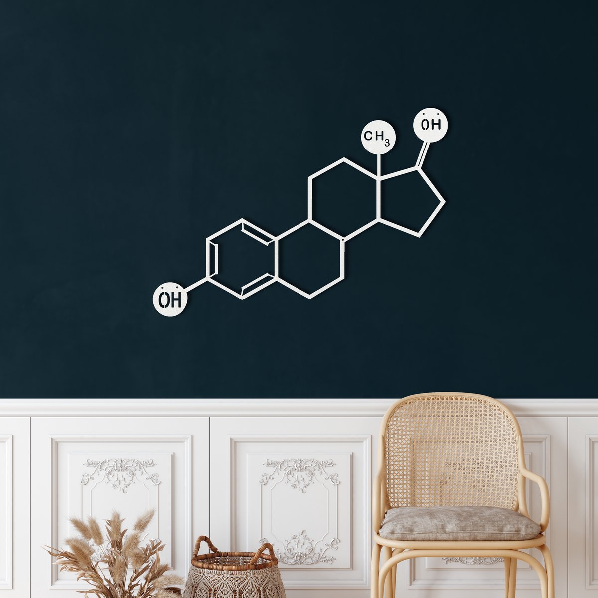 Wanddecoratie | Oestrogeen Molecuul / Estrogen Molecule| Metal - Wall Art | Muurdecoratie | Woonkamer | Buiten Decor |Wit| 45x32cm
