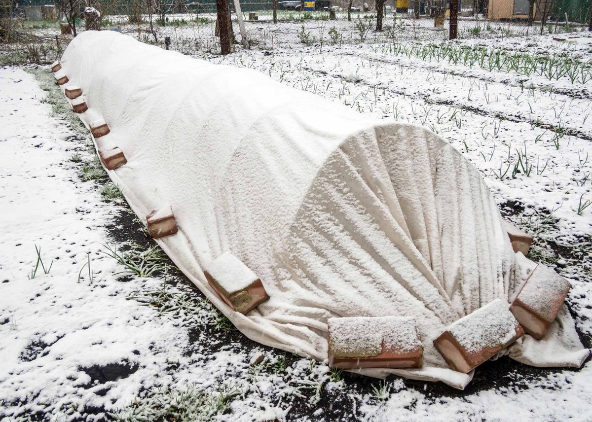 WINDHAGER Wintervlies »DEKO«, grün, BxL: 1,6 x 10 m
