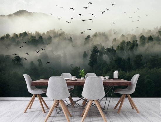 Photo Wallpaper King - Papier peint Papier peint photo - Papier peint Papier peint non tissé - Papier peint - Forêt - Vogels - Brouillard - 416 x 254 cm