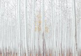 Fotobehang - Vlies Behang - Kale Bomen - Bos - 208 x 146 cm