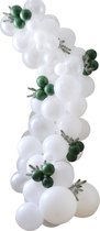 Ginger Ray - Ginger Ray - DIY Kerst Wit met Donkergroen Balloon Arch