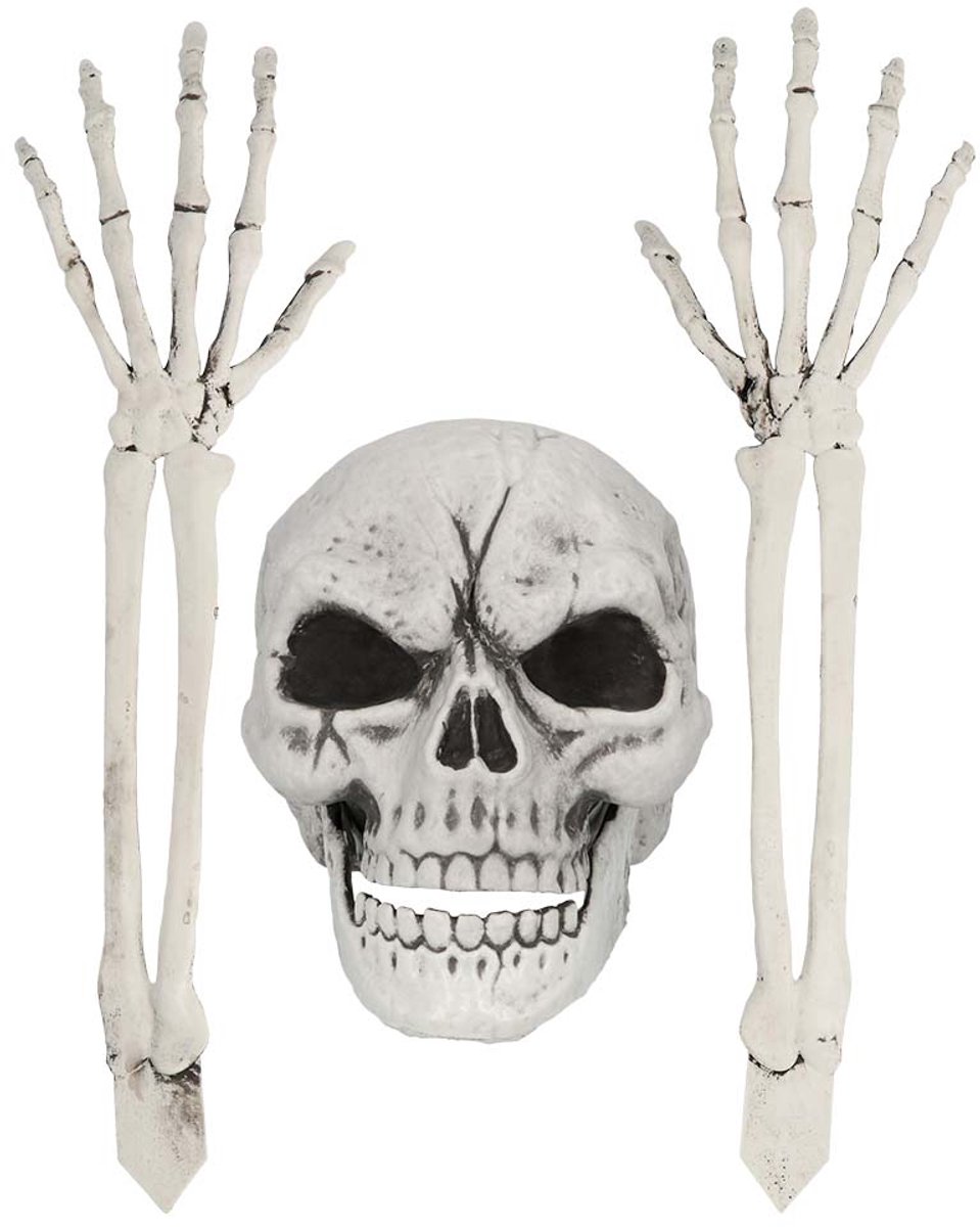 Set Begraven skelet.