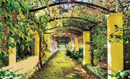 Jaune | Photomural vert, revêtement mural