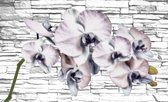 Fotobehang - Vlies Behang - Orchidee voor Sierstenen Muur - Bloemen - 254 x 184 cm