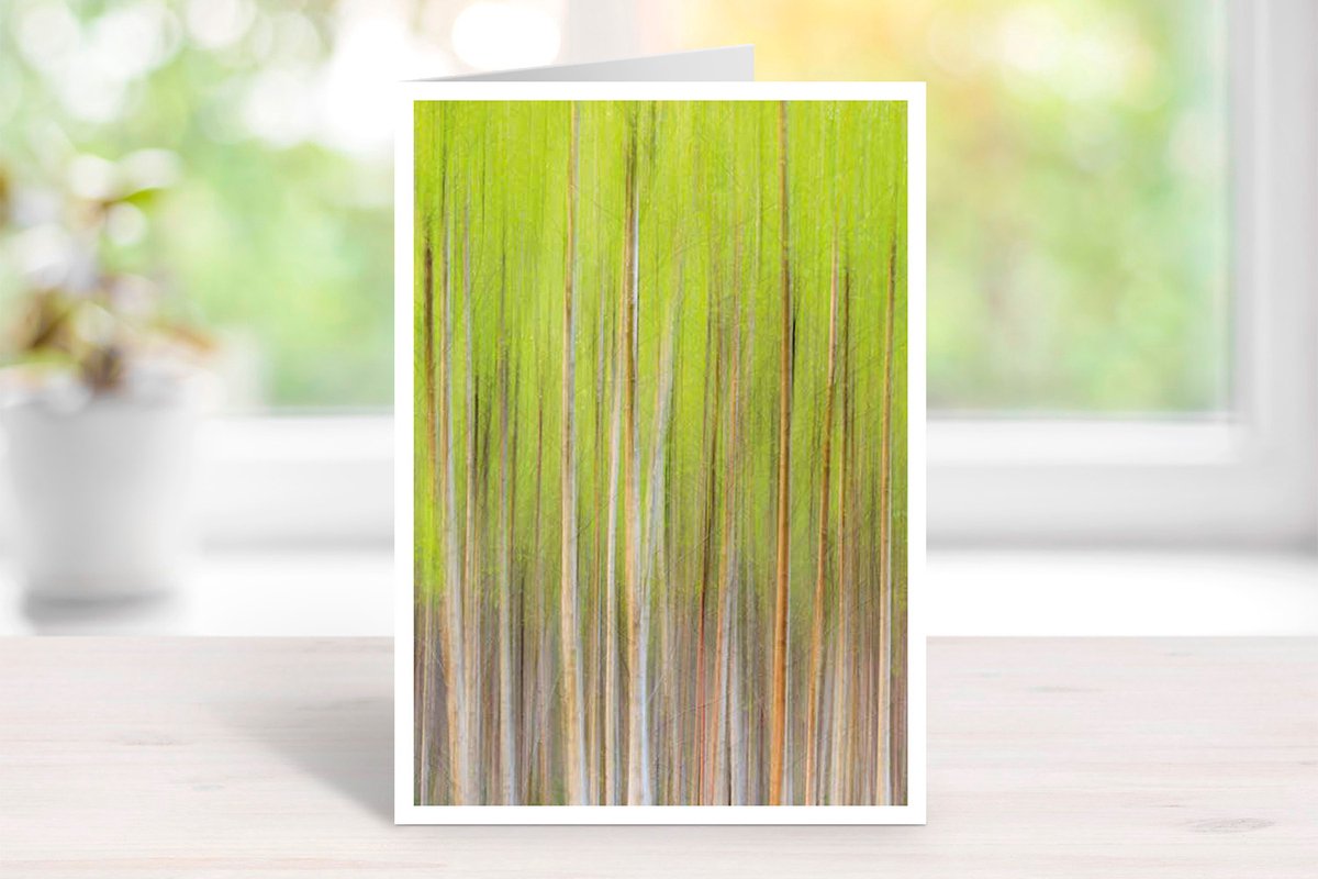 Wenskaart Kunst van de natuur - set van 3 stuks - Berken in beweging - natuur - gevouwen kaart - 17,5 x 12,5 cm - incl. envelop