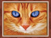 Artibalta Diamond Painting Blue-Eyed Cat AZ-1716