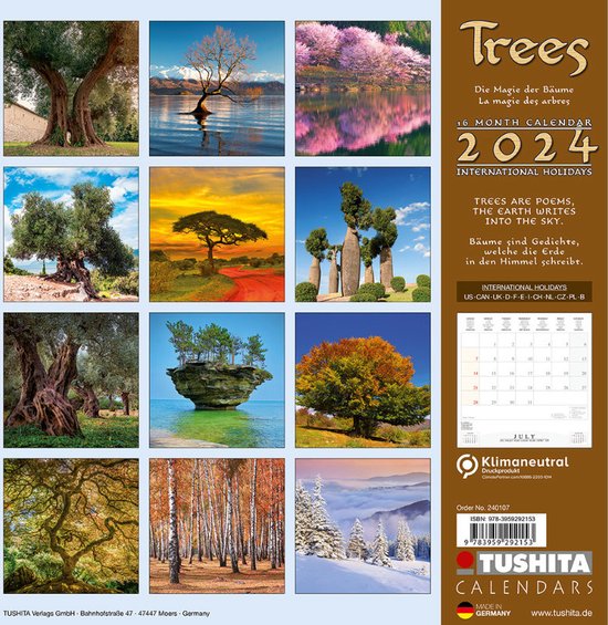 Trees Kalender 2024  bol