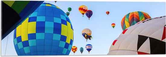Acrylglas - Tussen de Luchtballonnen in de Lucht - 90x30 cm Foto op Acrylglas (Met Ophangsysteem)