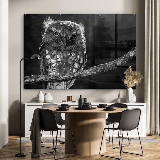 Glasschilderij - Uil - Vogel - Tak - Dieren - Zwart wit - Muurdecoratie -  180x120 cm -... | bol.com