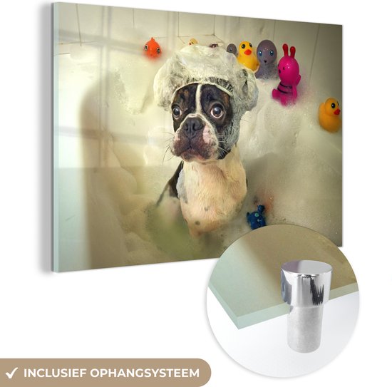 Glasschilderij - Hond - Bad - Bad eend - Badmuts - Foto op glas - 120x80 cm - Schilderij glas - Muurdecoratie