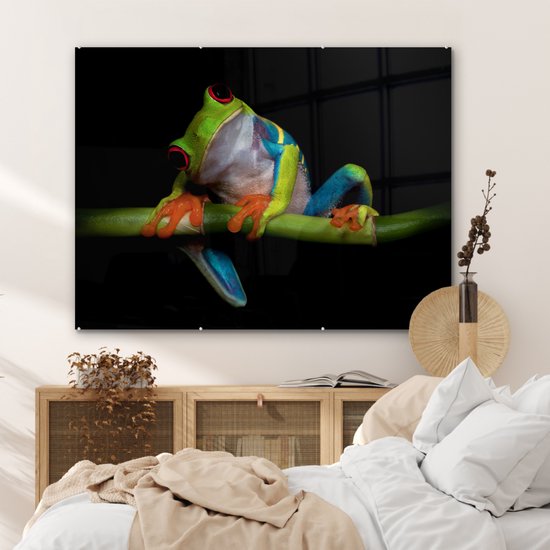 Peinture sur verre - Grenouille - Animaux - Vert - Oranje - Rouge - Photo sur verre - Peinture sur verre - 120x90 cm - Décoration murale