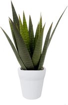 Emerald Kunstplant Aloe Vera - in pot - 23 cm