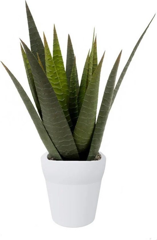 Plante artificielle Aloe Vera en pot 35 cm | bol