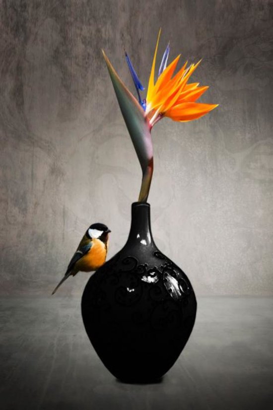 glasschilderij stilleven - koolmees - paradijsvogelbloem - zwarte vaas - 120x80 - gehard glas