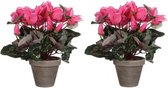 Mica Decorations Roze cyclaam kunstplant en met bloemen 30 cm in grijze pot - 2x - Kunstplanten/nepplanten - Huis of kantoor