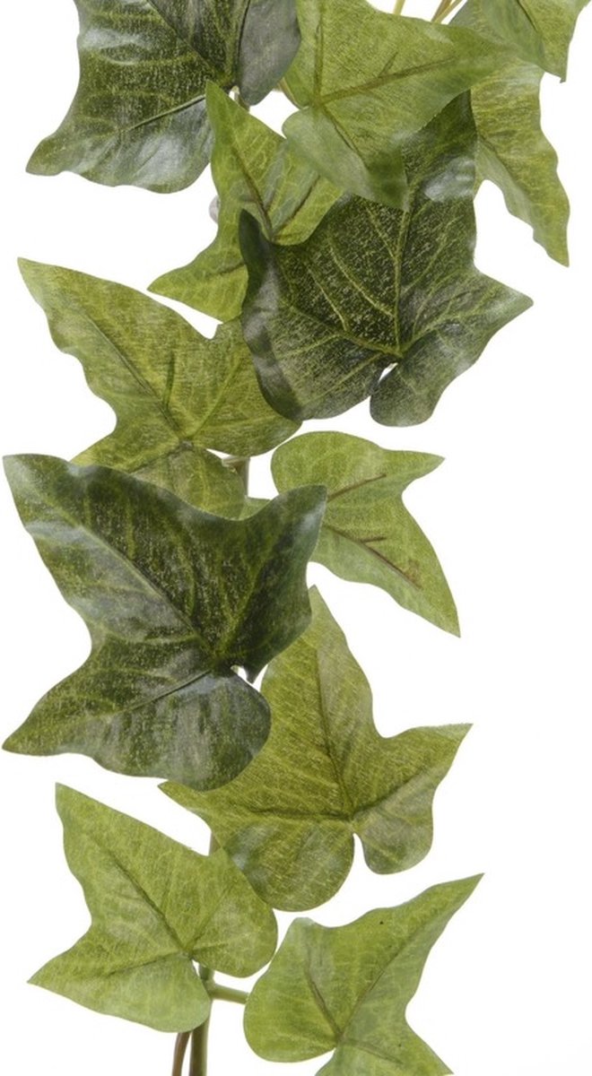 Bellatio Flowers & Plants Planten slinger klimop - Hedera Helix - groen - 180 cm - kunstplant