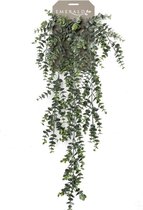 Emerald Kunstplant Eucalyptus - groen - takken - hangplant - 75 cm