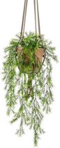 Kunstplant - varen - groen - in terracotta pot - 75 cm