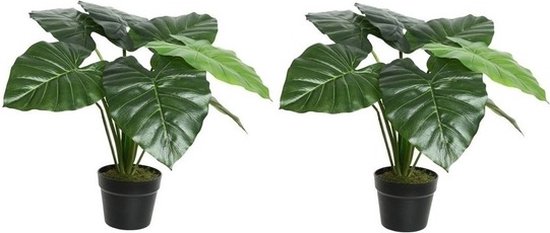 2x Groene Colocasia/taro kunstplant 52 cm in zwarte pot - Kunstplanten/nepplanten - Kantoorplanten
