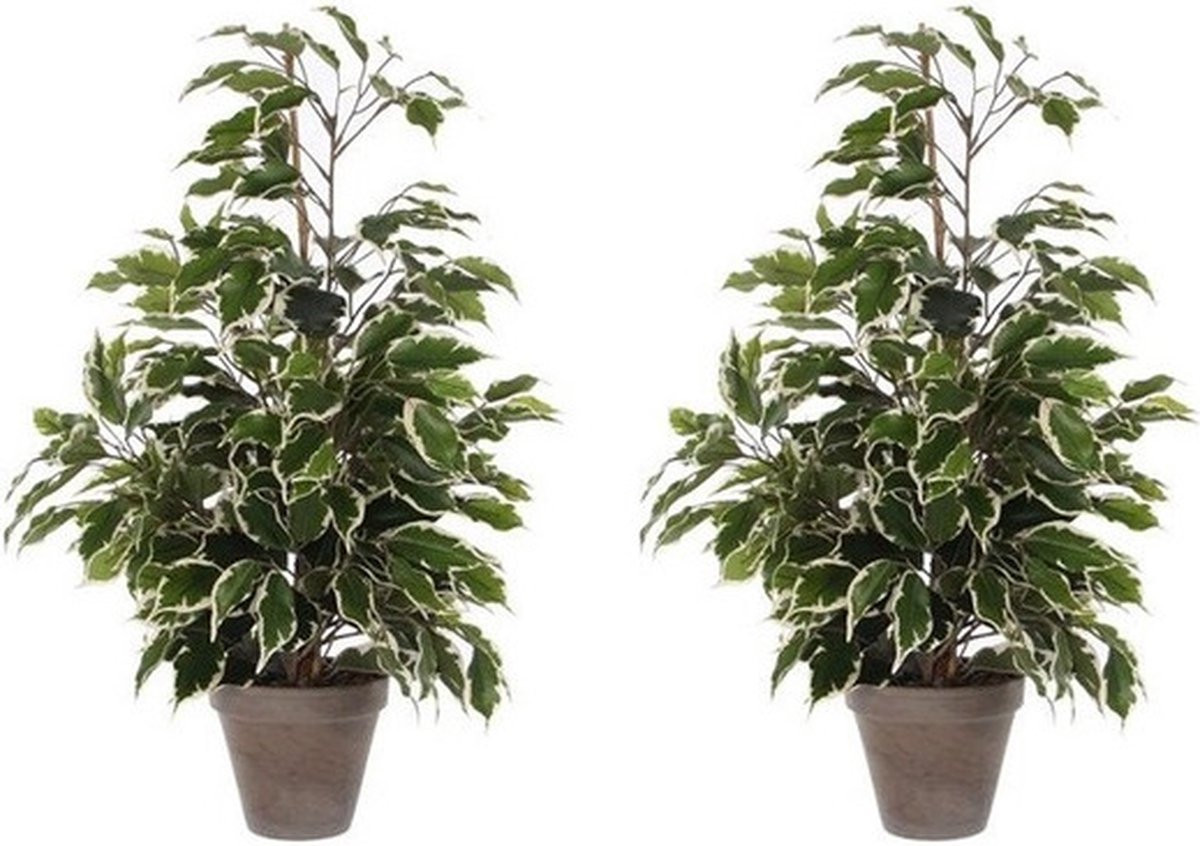 Plante artificielle : Pot Ficus Natasja D.11 x H.40 cm Mica