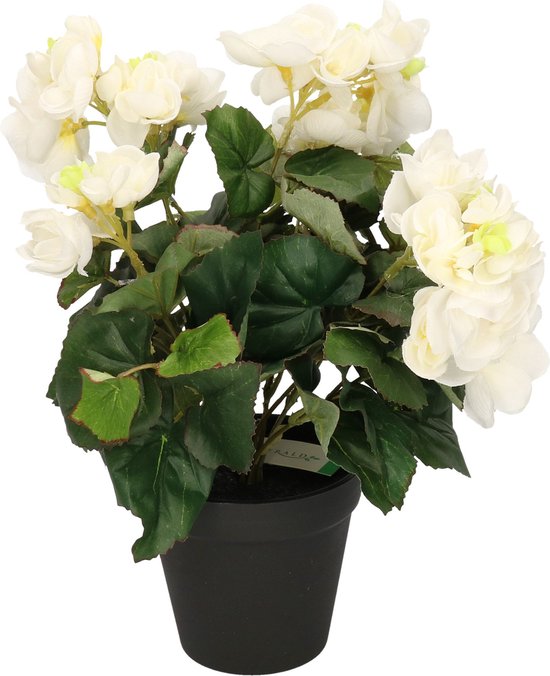 Kunstplant Begonia wit 30 cm - nepplanten / kunstplanten