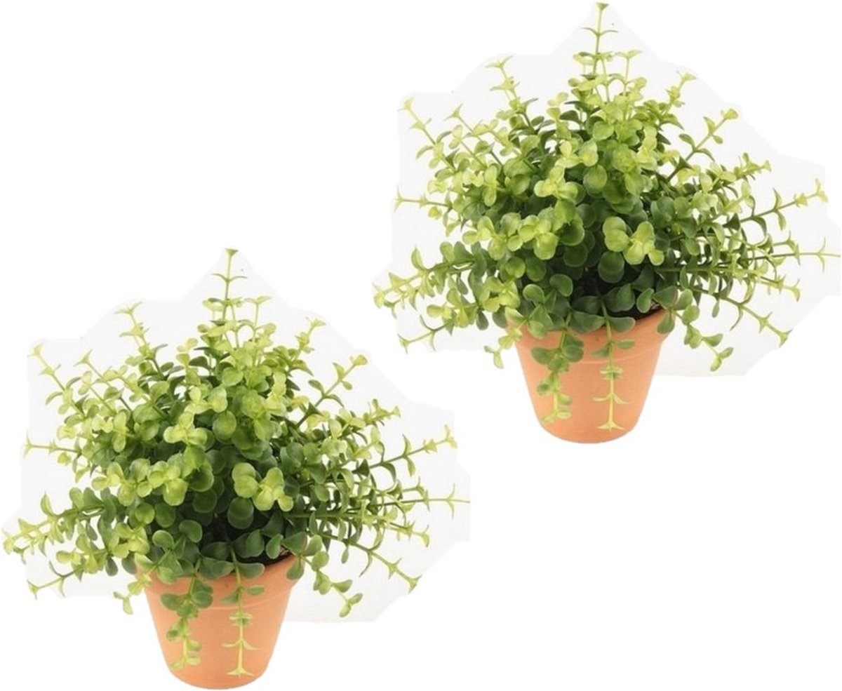 Bellatio Flowers & Plants 3x stuks kunstplant eucalyptus groen in pot 20 cm - Kamerplanten kunstplanten